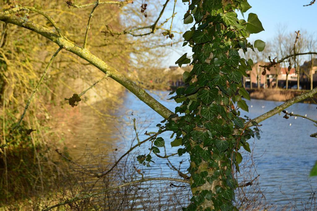 Holiday Home Ipericus Ieper Rum bild