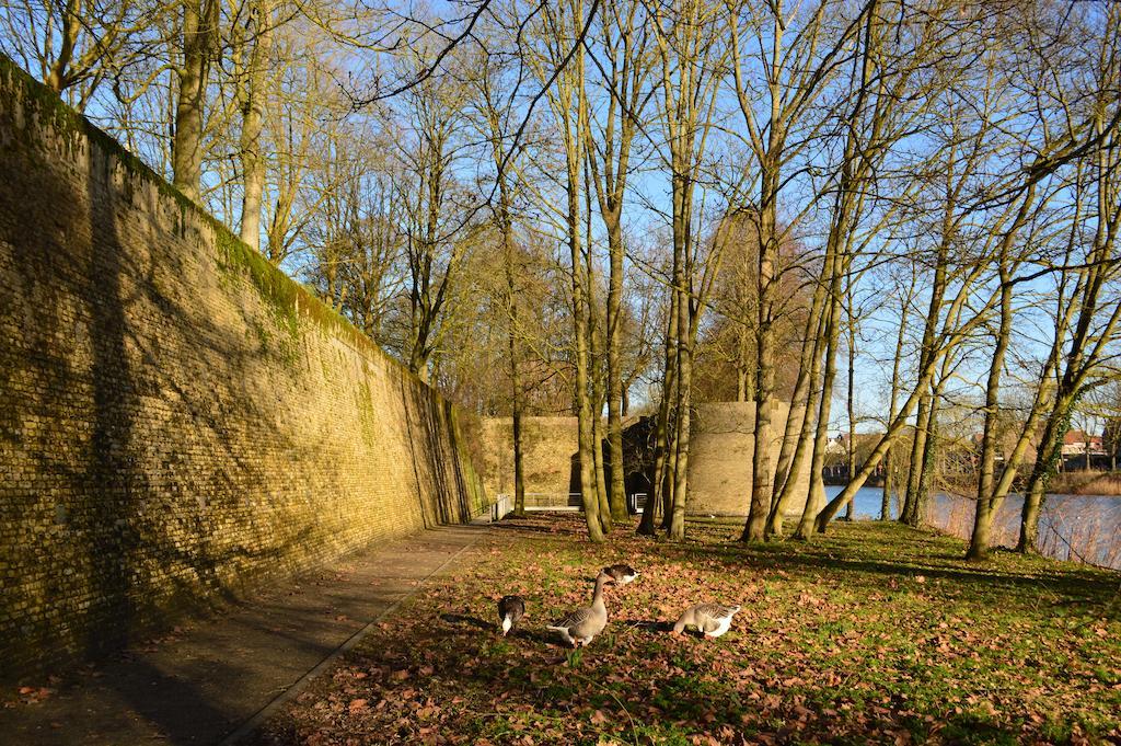 Holiday Home Ipericus Ieper Rum bild